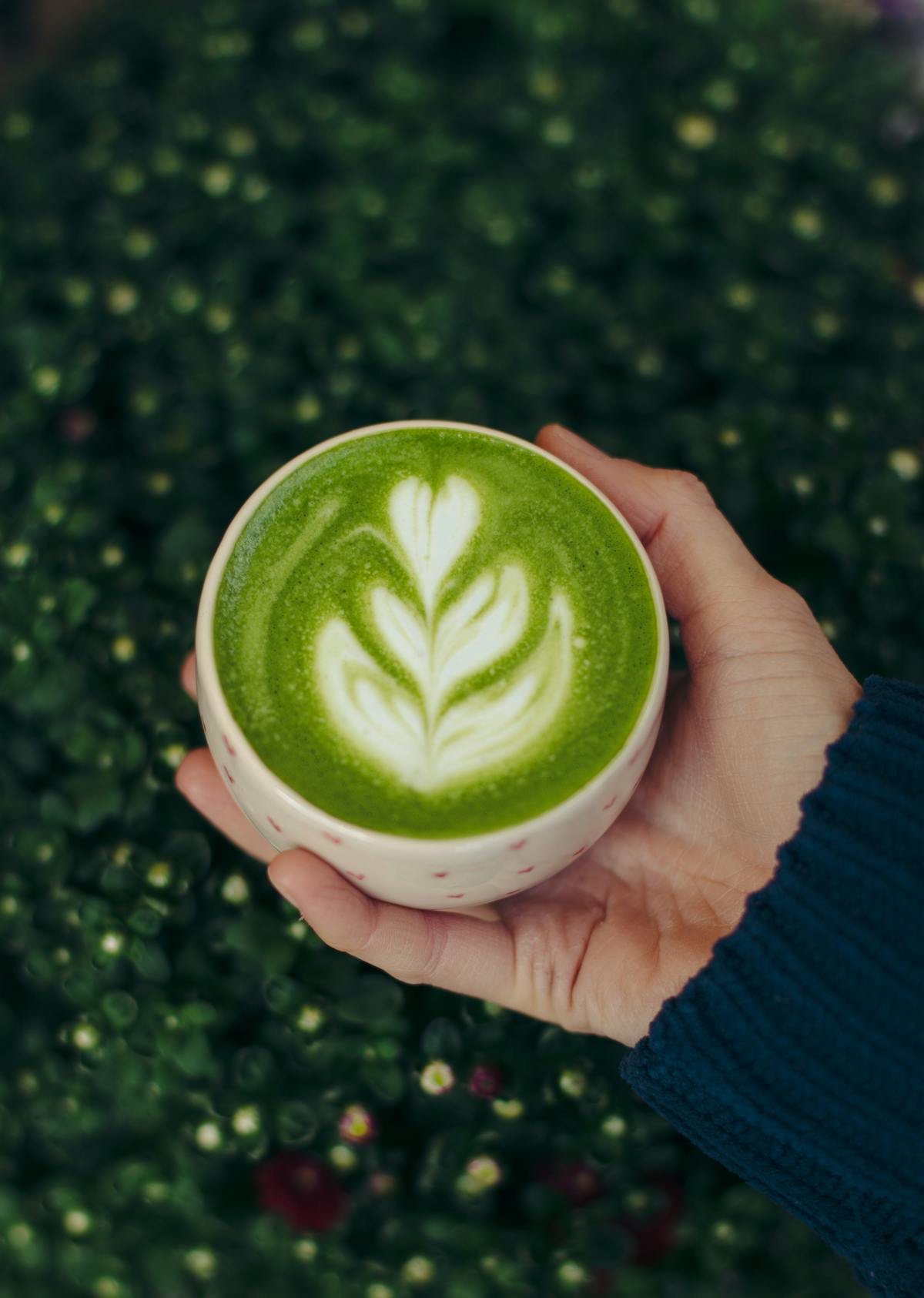 Matcha Latte Art